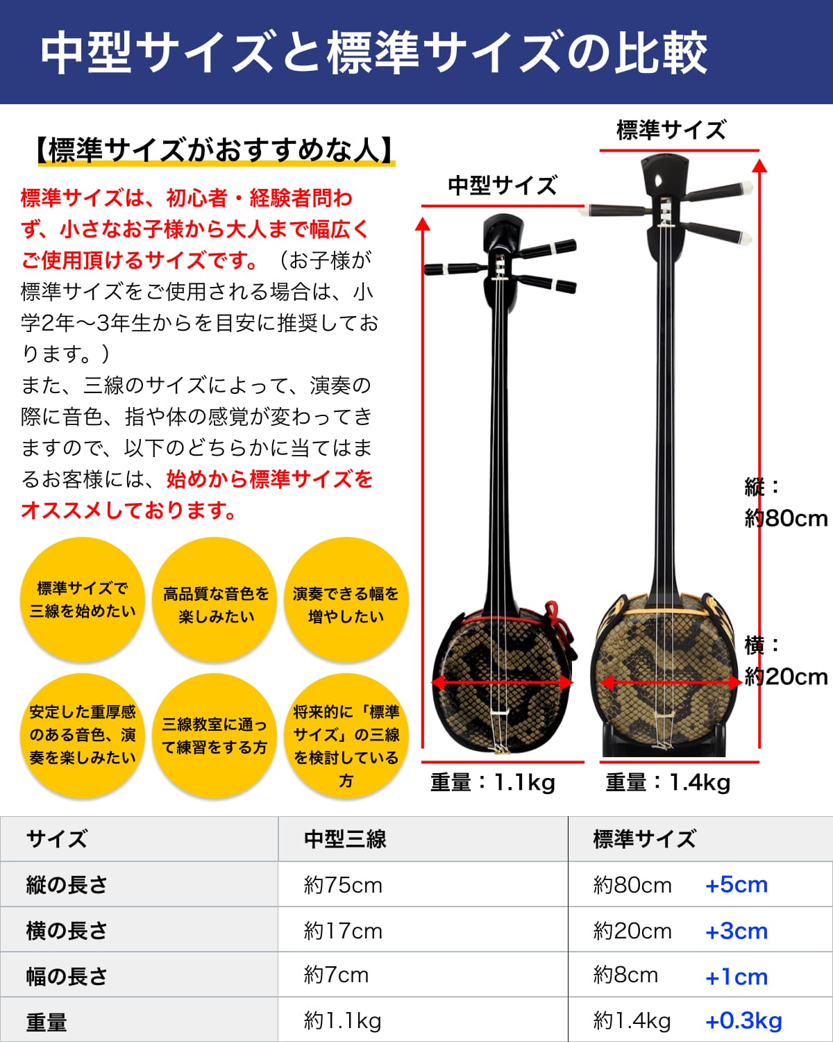 セット内容